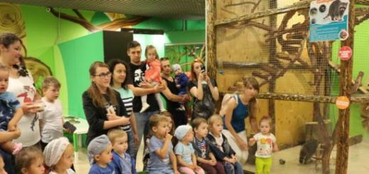 Rojstni dan v moskovskem živalskem vrtu Rojstni dan v živalskem vrtu za male živali