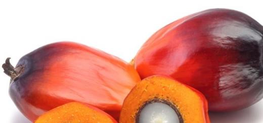 Potraviny z palmového oleja prospievajú a poškodzujú