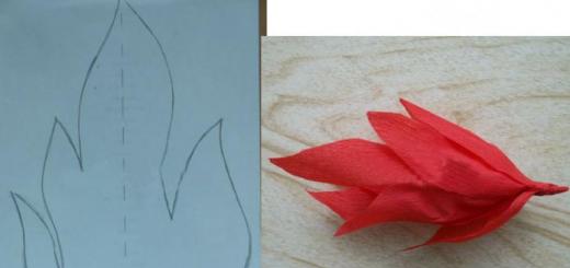Jak zrobić wieczny płomień własnymi rękami - klasa mistrzowska krok po kroku Modułowy schemat wiecznego płomienia origami