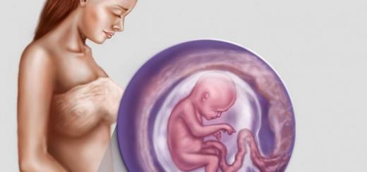 Почему тошнит перед родами, причины тошноты у беременных, что делать?