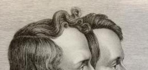 Брати Якоб та Вільгельм Грімм: біографія