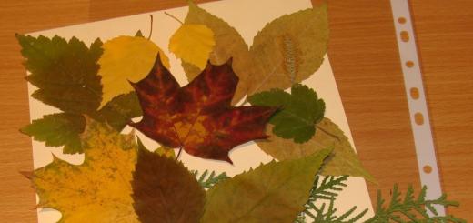 Herbstliches Basteln aus Blättern (trocken) für Kinder