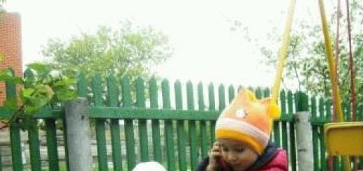 Дитячий майданчик своїми руками із підручних засобів на дачі та в дитячому садку (фото)