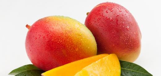 Nützliche Eigenschaften und Beschädigung Mango für den menschlichen Körper