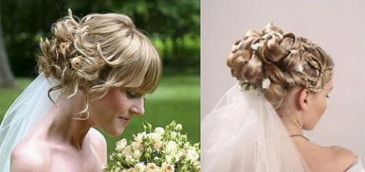 Poročni pripomočki za okrasitev Brides Frizure: Hairpins, Veil, Tiaras