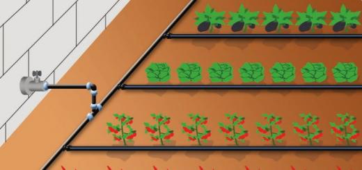 Ako zorganizovať automatické zavlažovanie v skleníku
